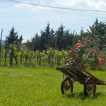 Vakantiehuis Podere Altovito
