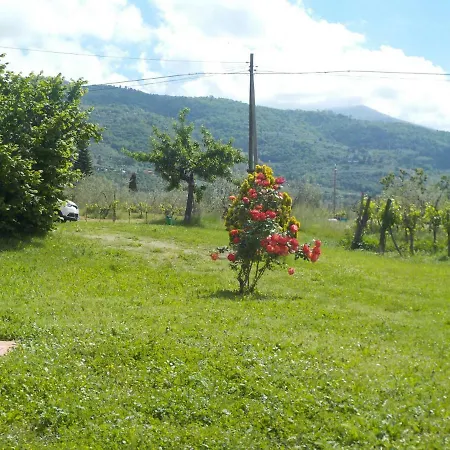 Podere Altovito Reggello